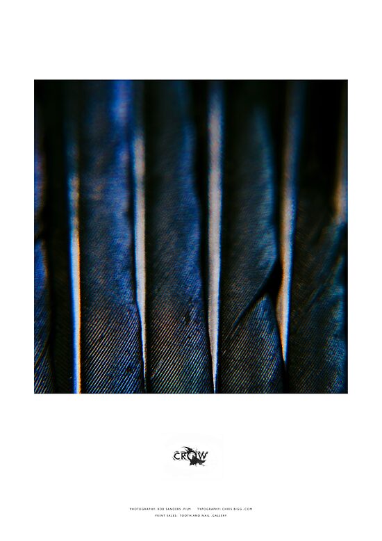CROW PRINTS